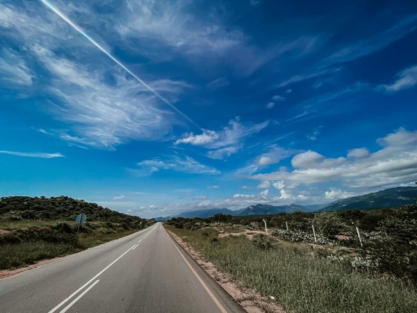 La trottinette segway ninebot : performance et innovation en ville